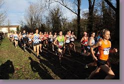 Begles 15.12.13 01 692 * 679 x 453 * (160KB)